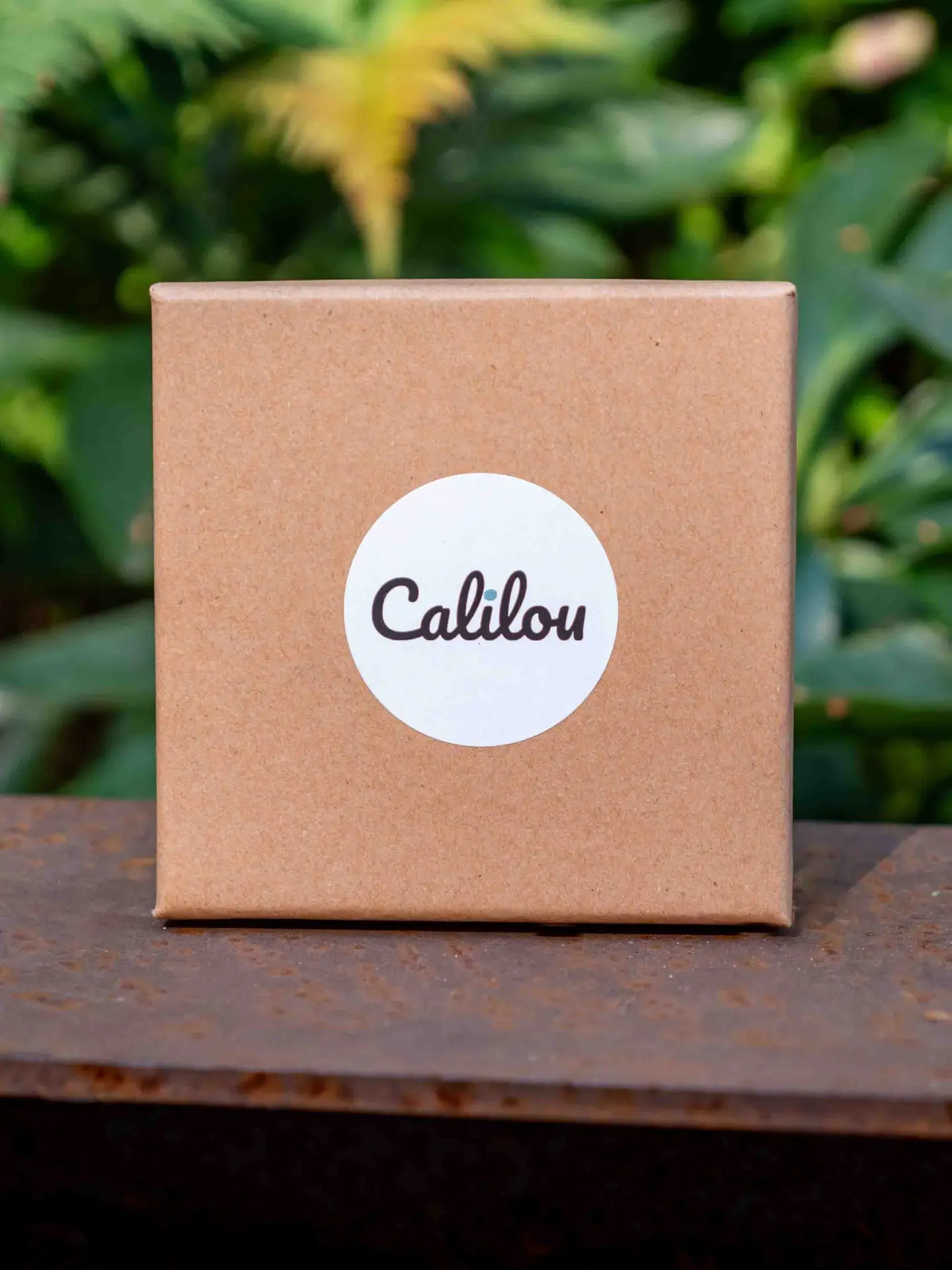 Calilou - Connecteurs de poussettes magnétiques 6 Caliloubox scaled